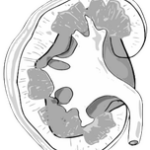 Nephrologische u. diabetologische Gemeinschaftspraxis