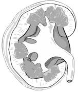 Nephrologische u. diabetologische Gemeinschaftspraxis