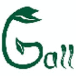 Ganzheitliche Physiotherapie Gall